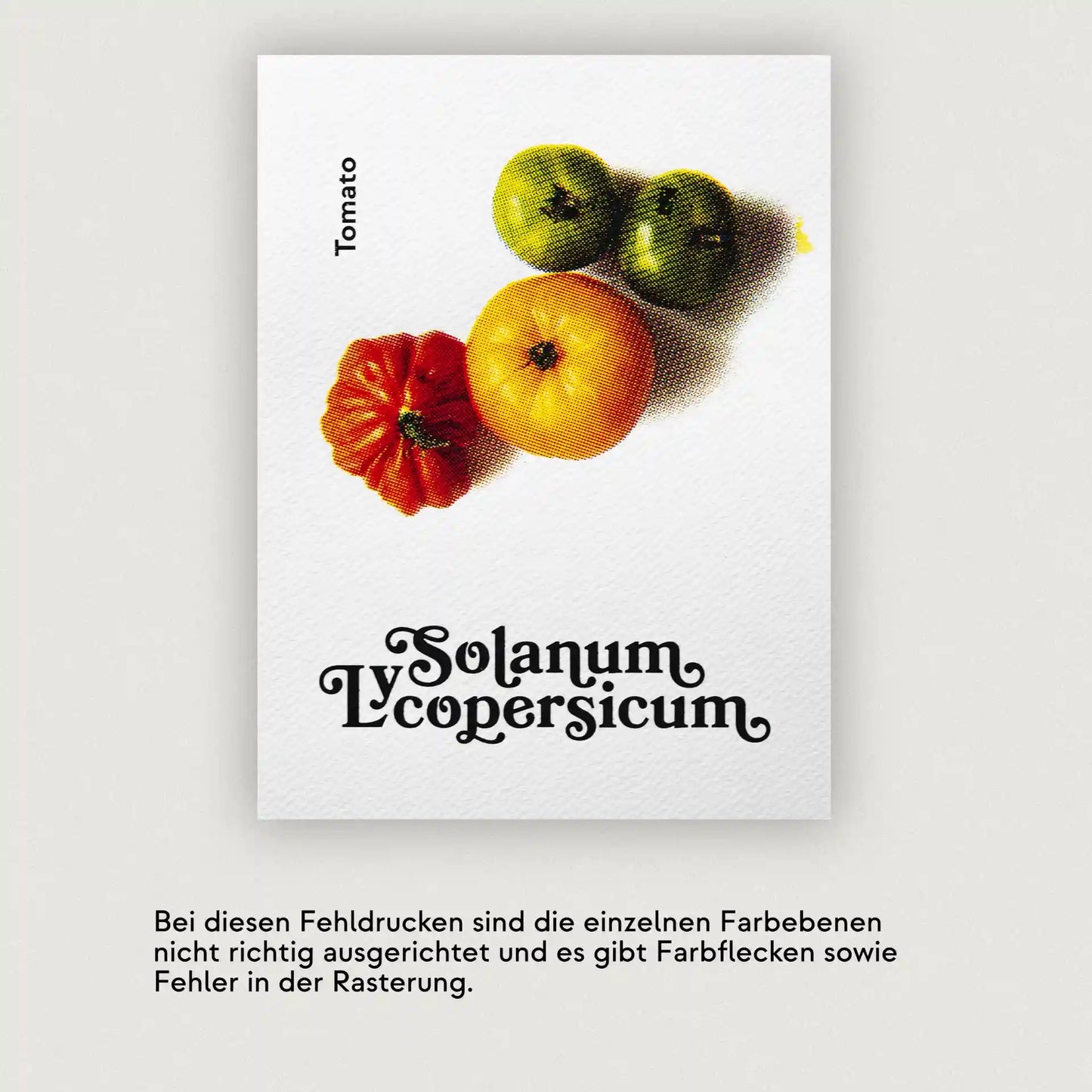 Erntereif: Tolle Tomaten | 15x20cm