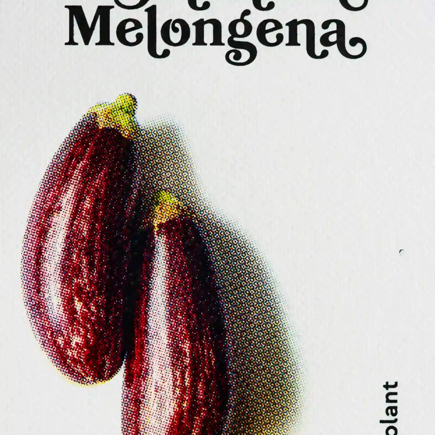 Erntereif: Aromatische Aubergine | 15x20cm