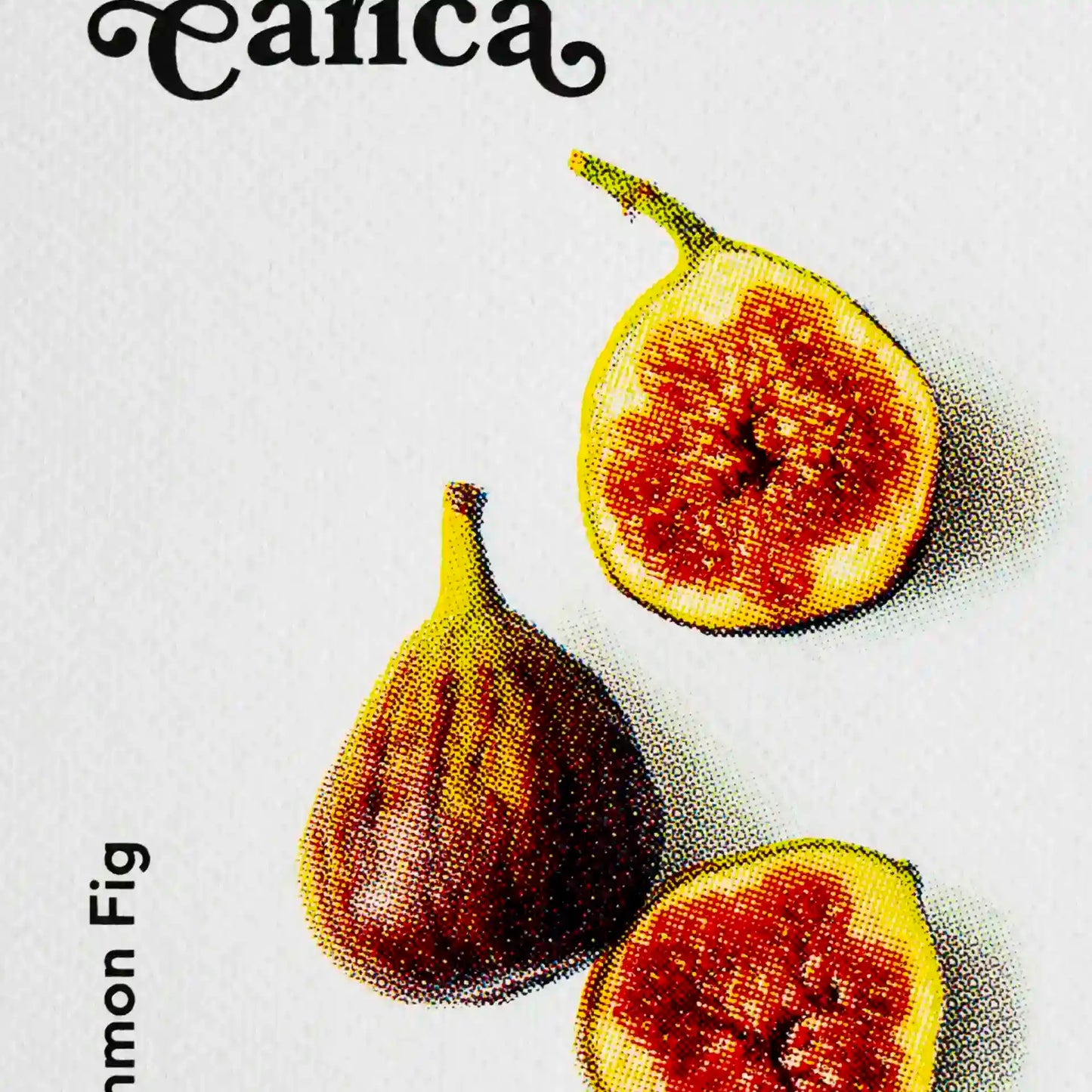 Erntereif: Frische Feige | 15x20cm