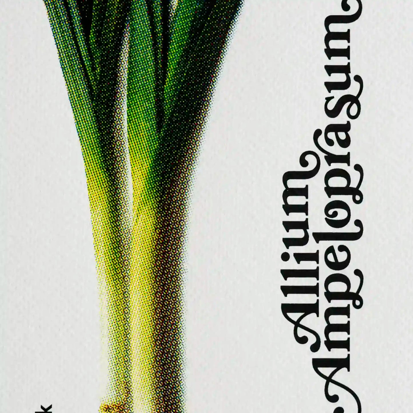 Erntereif: Leckerer Lauch | 15x20cm