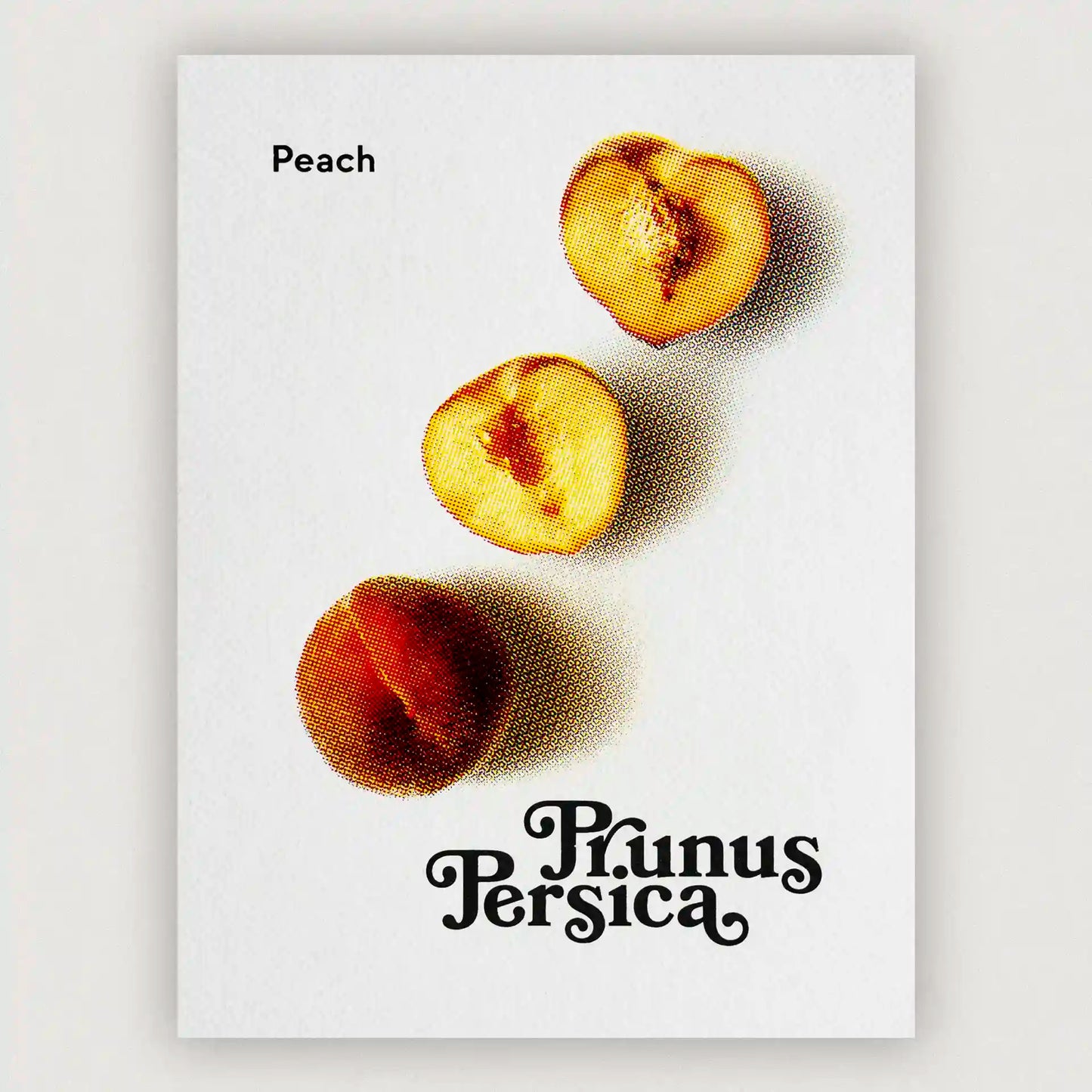 Erntereif: Prachtvoller Pfirsich | 15x20cm