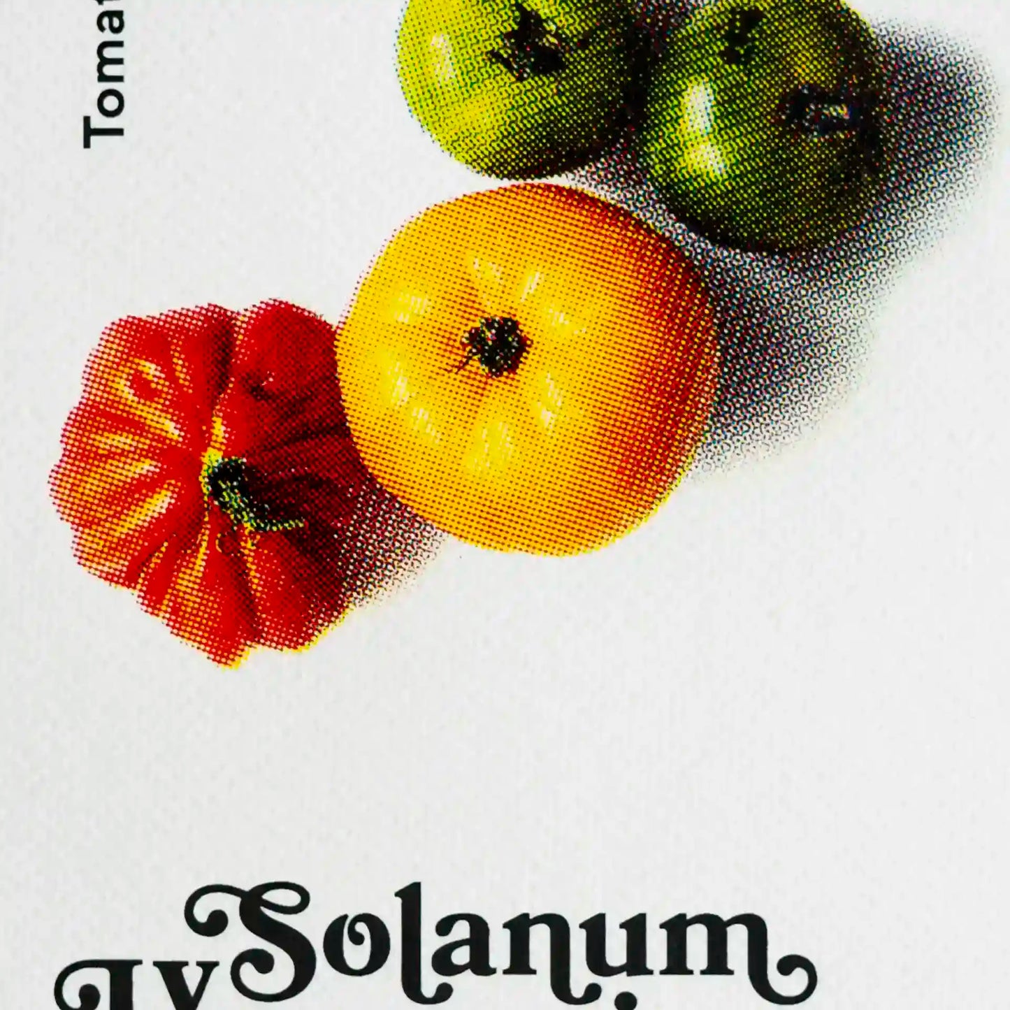 Erntereif: Tolle Tomaten | 15x20cm