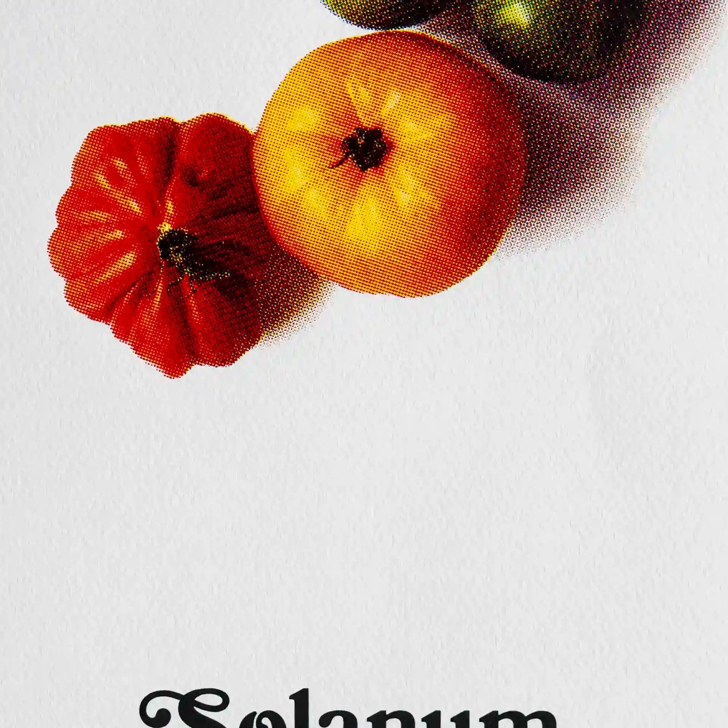 Erntereif: Tolle Tomaten | 20x30cm