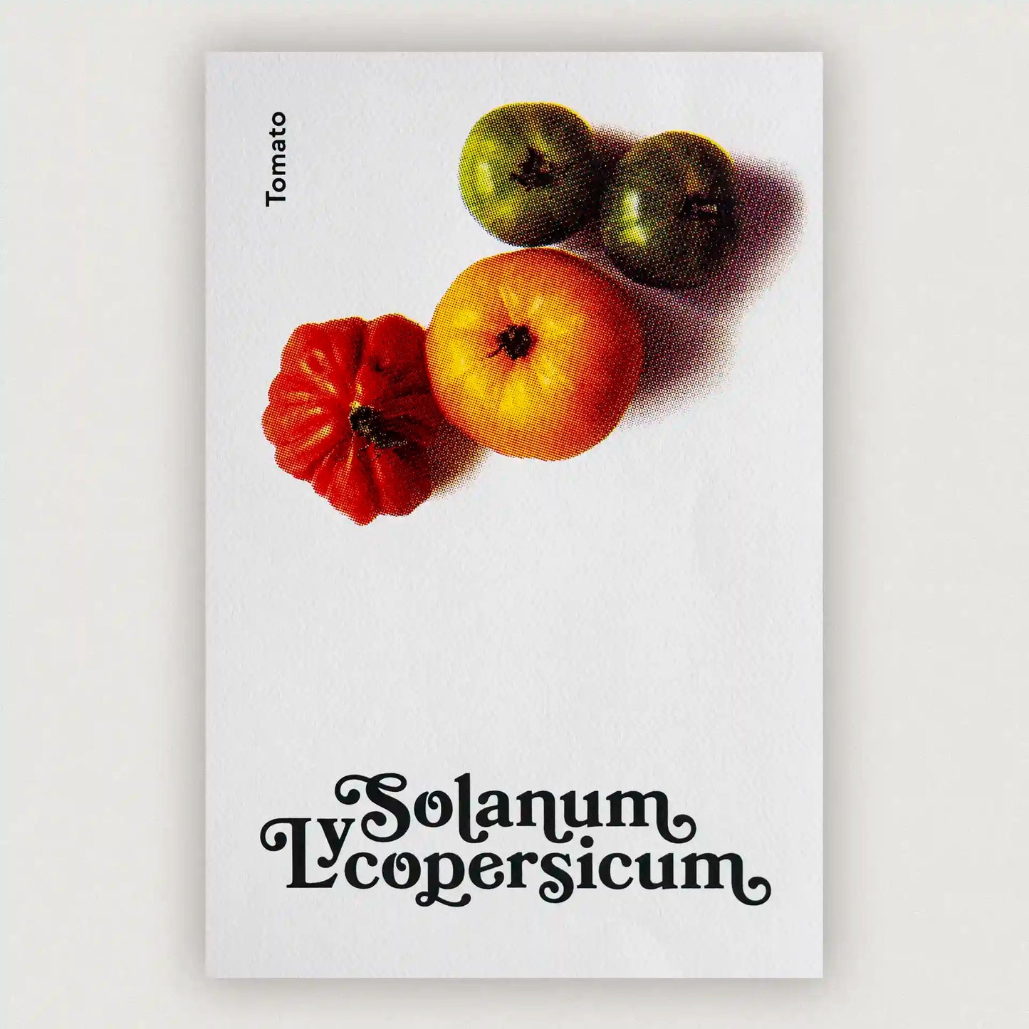 Erntereif: Tolle Tomaten | 20x30cm
