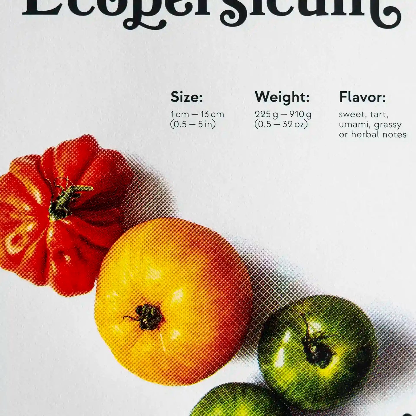 Erntereif: Tolle Tomaten | 30x40cm