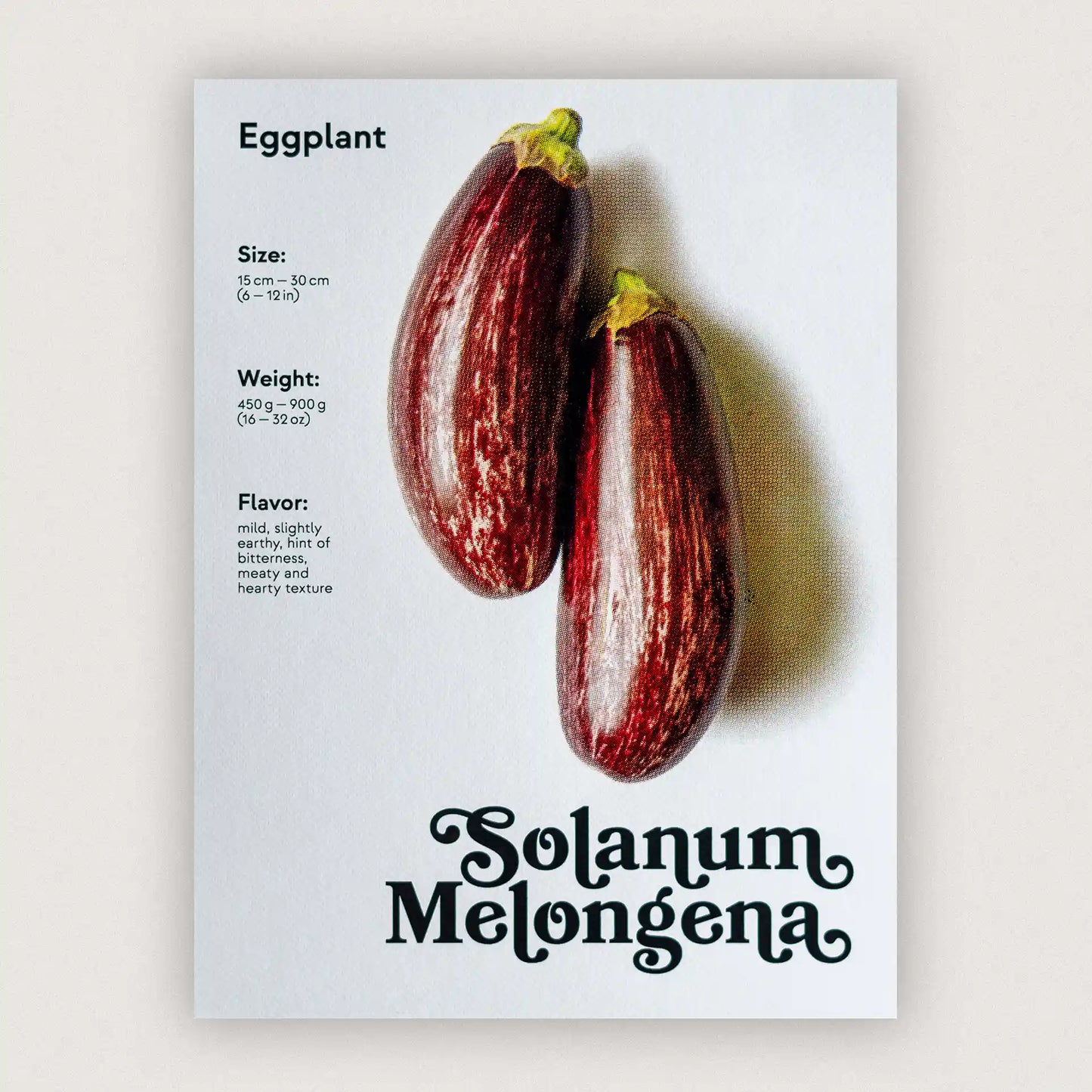 Erntereif: Aromatische Aubergine | 30x40cm