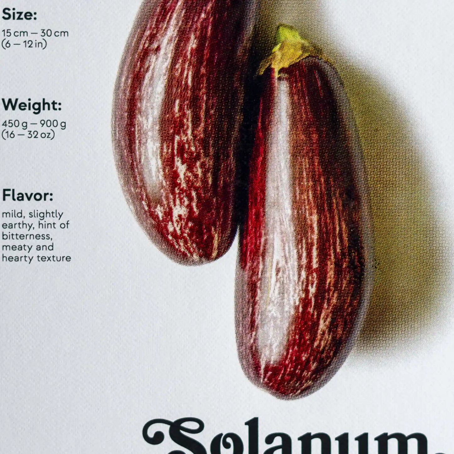 Erntereif: Aromatische Aubergine | 30x40cm