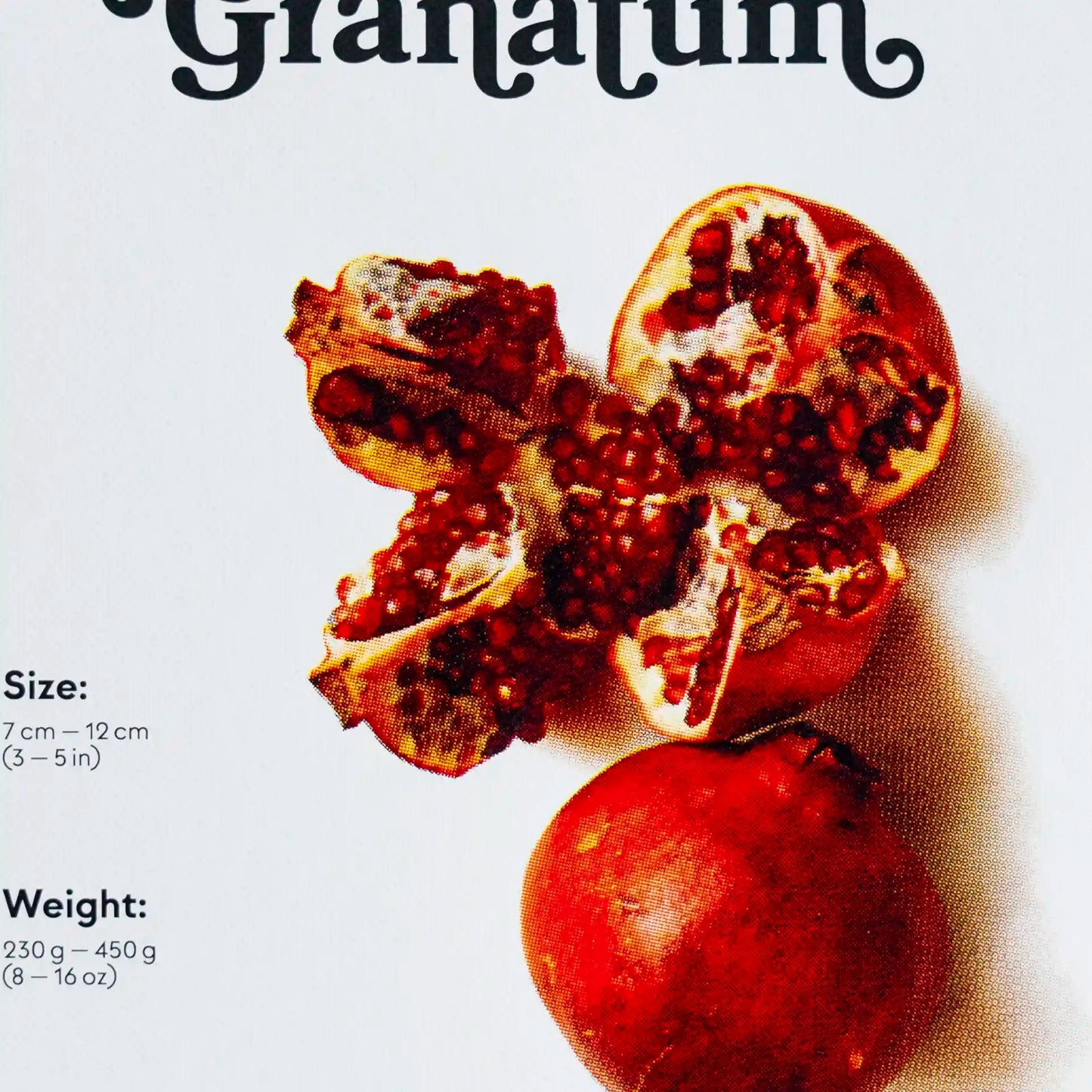 Erntereif: Genussvoller Granatapfel | 30x40cm