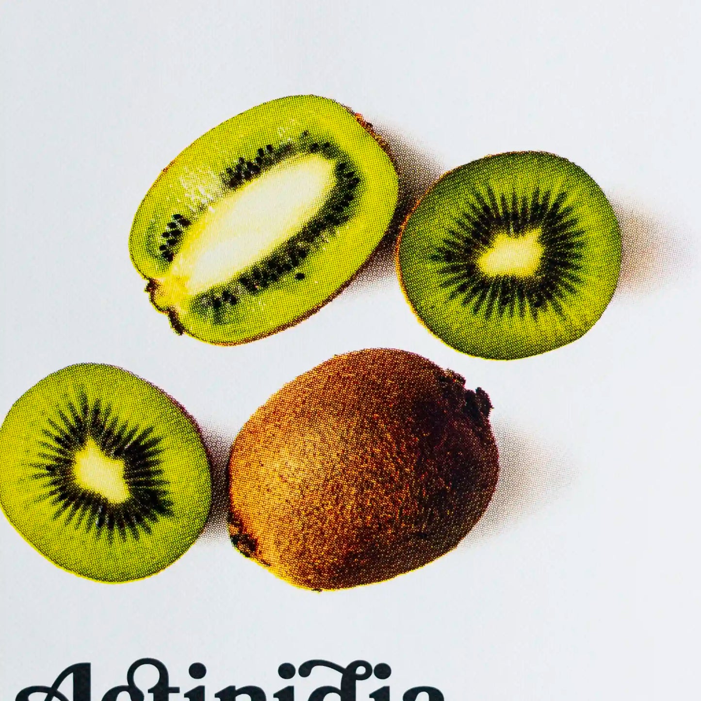 Erntereif: Köstliche Kiwi | 30x40cm